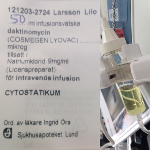 113DC332-36C0-449E-9DBA-4013C1AC50A9