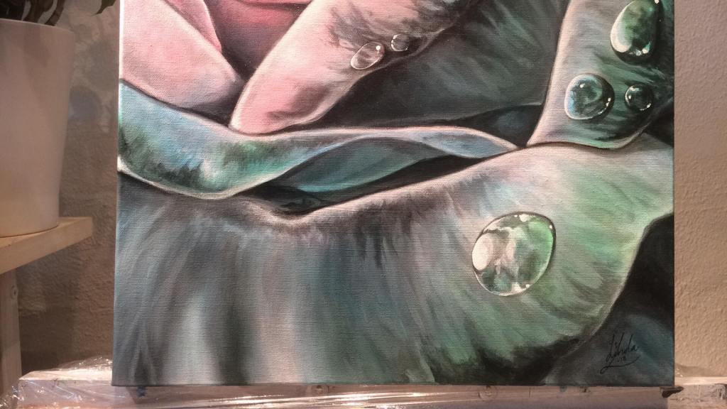 29746354_10156180023013905_434829089_o