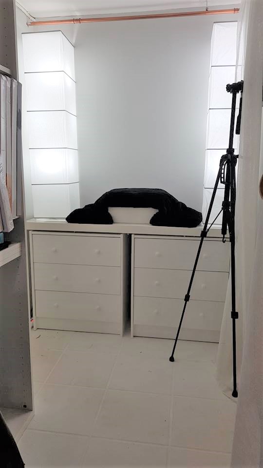 51010703_504008690133561_7019513953797537792_n